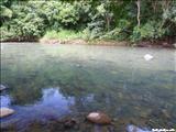 Río la Poza de Río Grande - RÍO GRANDE